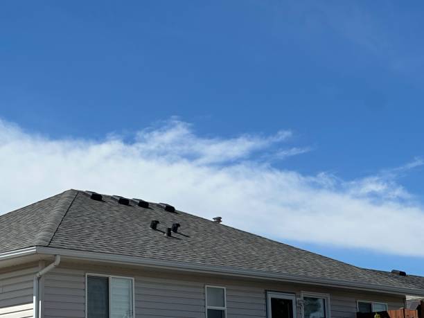 Best Metal Roofing Installation  in Thompsonville, PA